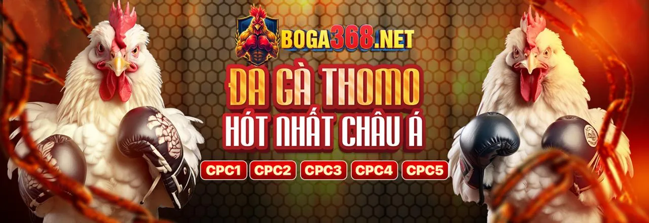 Đá gà kịch tính tại 8888vnd trang chủ